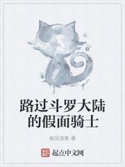路过斗罗大陆的假面骑士