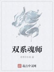 双系魂师