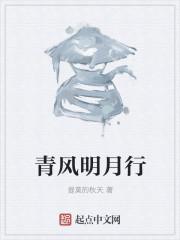 青风明月行