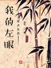 我的左眼有点东西