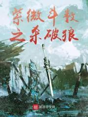 紫微斗数之杀破狼