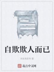 自欺欺人而已
