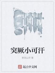 突厥小可汗