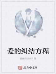 爱的纠结方程