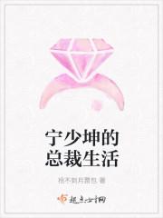 宁少坤的总裁生活