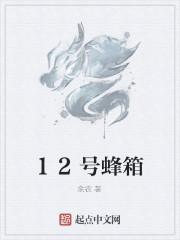 12号蜂箱