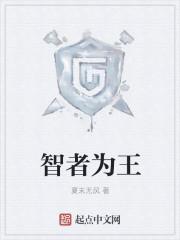 智者为王