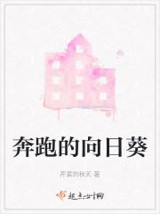 奔跑的向日葵