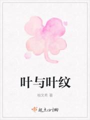 叶与叶纹