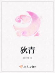 狄青