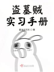 盗墓贼实习手册