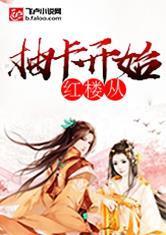 带爸穿越,红楼抽卡