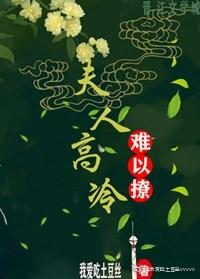 夫人高冷难以撩