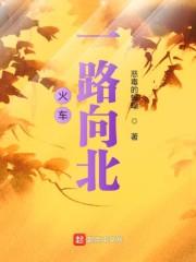 火车一路向北