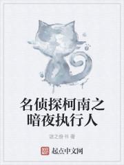 名侦探柯南之暗夜执行人