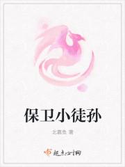 保卫小徒孙
