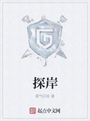 探岸