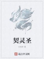 契灵圣