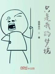 只是我的梦境