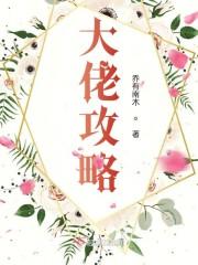 大佬攻略