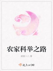 农家科举之路