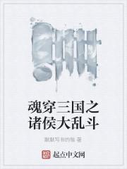 魂穿三国之诸侯大乱斗