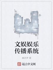 文娱娱乐传播系统