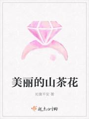 美丽的山茶花