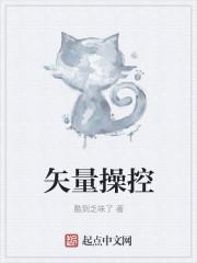 矢量操控