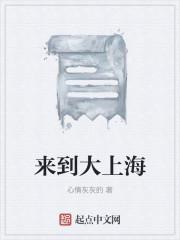 来到大上海