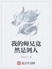 我的师兄竟然是剑人