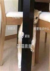 夏至已至