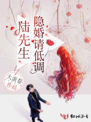 陆先生,隐婚请低调