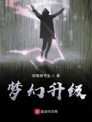 梦幻升级