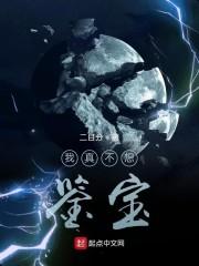 我真不想鉴宝