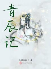 青辰记