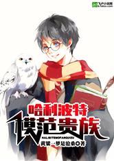 哈利波特模范贵族