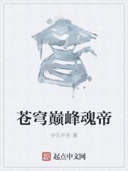 苍穹巅峰魂帝