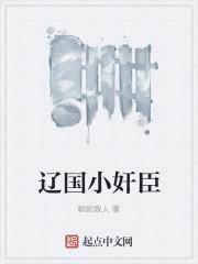 辽国小奸臣