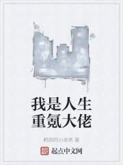 我是人生重氪大佬