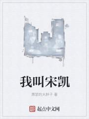 我叫宋凯