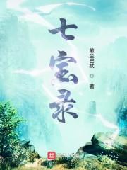 七宝录