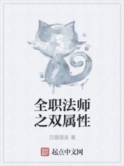 全职法师之双属性