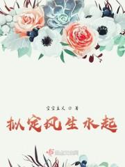 风生水起的生活