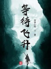 等待飞升