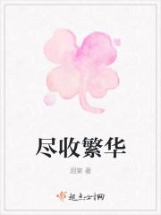 尽收繁华