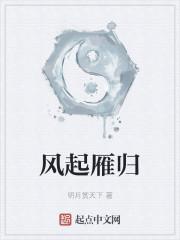 风起雁归