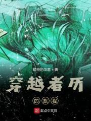 穿越者历的旅程
