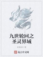 九世轮回之圣灵界域
