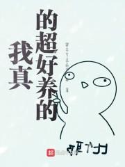 我真的超好养的
